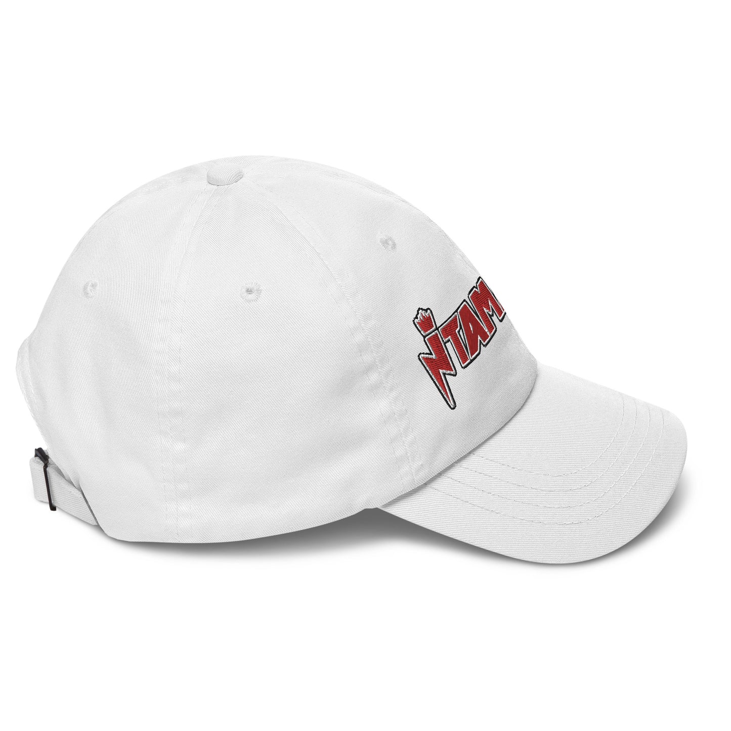 I TAMARRI Cappellino Dad